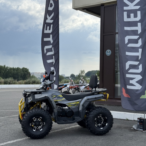 Квадроцикл FXMOTO (ФХмото) WASP 250 серый (машинокомплект) | Мототека